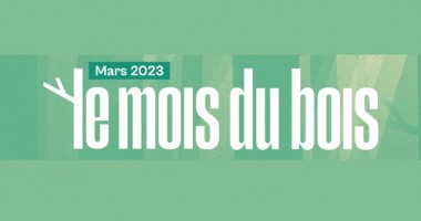 Le mois du bois : coup de projecteur !